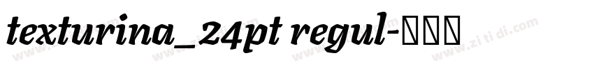 texturina_24pt regul字体转换 texturina_24pt regul字体转换